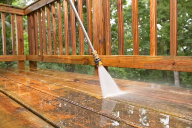 Best Roof Pressure Washing  in Roy, UT